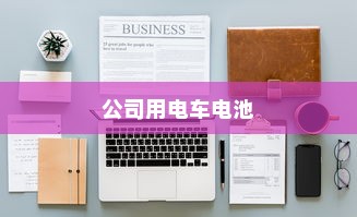 公司用电车电池选择指南大全