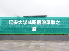 延安大学咸阳医院录取之路，机遇与挑战并存
