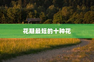 花期最短的十种花，美丽而短暂的生命之旅