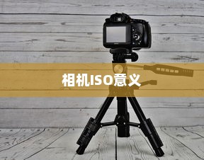 ISO是什么？相机ISO是什么意思？