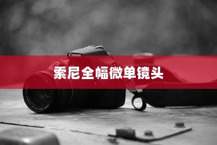 索尼全幅微单镜头哪个更好？推荐介绍