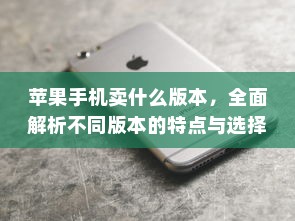 苹果手机卖什么版本，全面解析不同版本的特点与选择